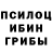 Псилоцибиновые грибы мицелий SHlRO deucetone