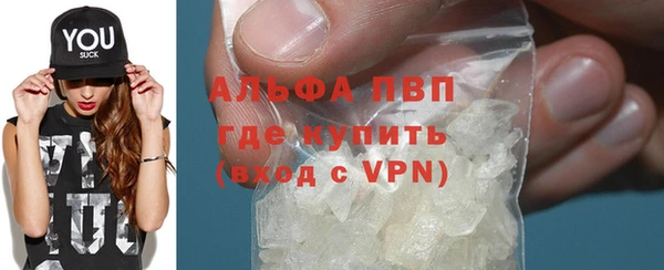 СК Алексин
