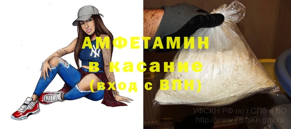 СК Алексин