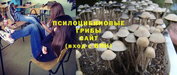 не бодяженный Алзамай
