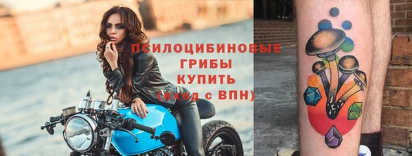 не бодяженный Алзамай