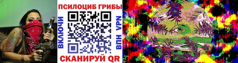 Галлюциногенные грибы Magic Shrooms  где купить наркоту  Зубцов 